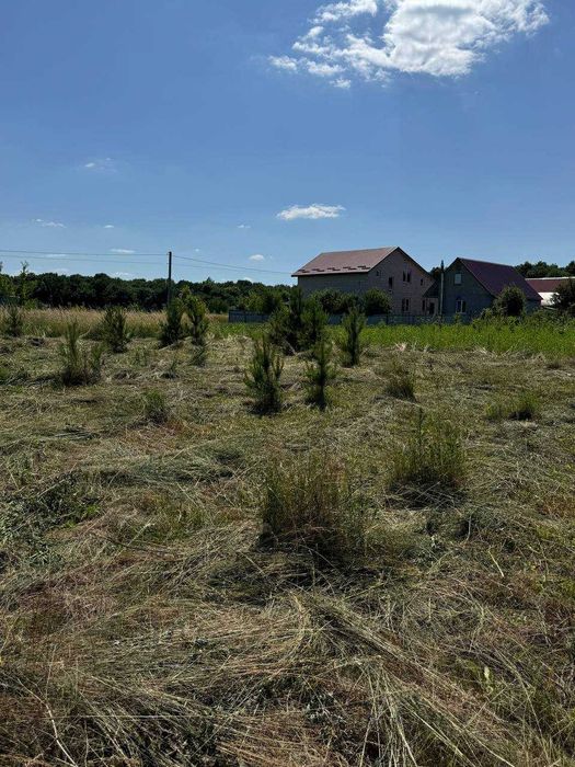 Продаж ділянки з фундаментом с. Іванківці (біля Олешина)
