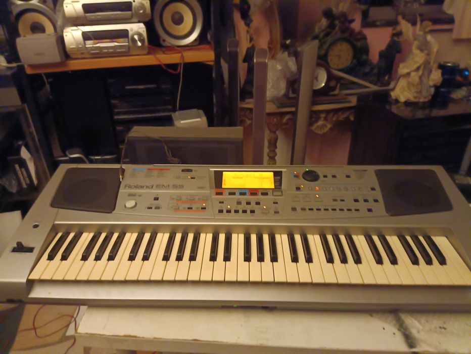 Roland EM-55 Pro