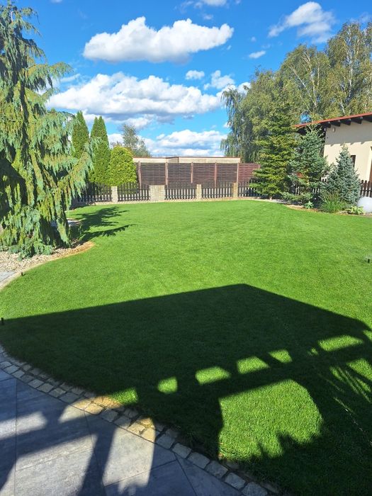 Ogrody - pielęgnacja - nawadnianie - trawniki