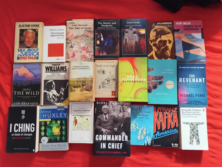 Livros diversos, filosofia, politica, sociologia, antropologia, ficção