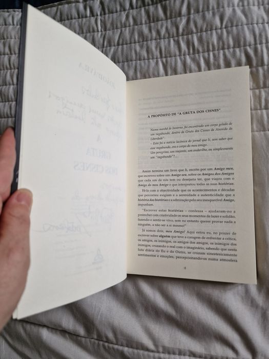 A Gruta dos Cisnes de João D'Ávila Editora Hugin