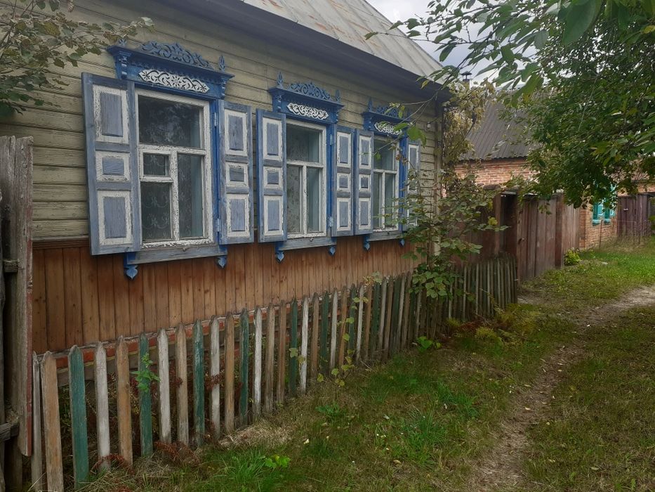 Добрянка черниговской. Село добрянка. Добрянка черниговской. Добрянка черниговская область. Добрянка черниговской.