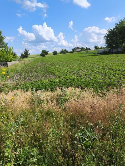 Продам земельну ділянку с.Острів