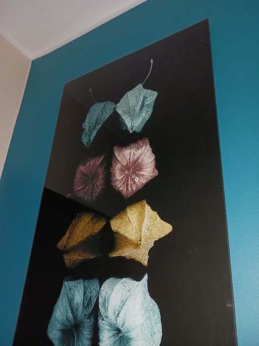 Obraz szklany szer. 50 cm wys. 125 cm