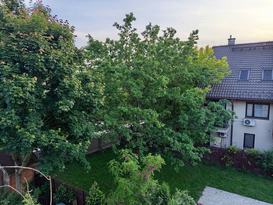 Mieszkanie 2- pokojowe Pychowice Dębniki (obok Ruczaj Campus UJ ) - Więcej
