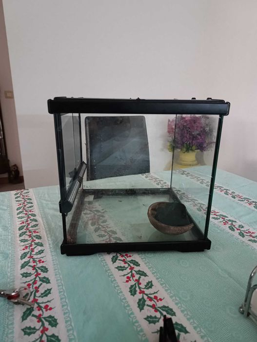 Animais terrários