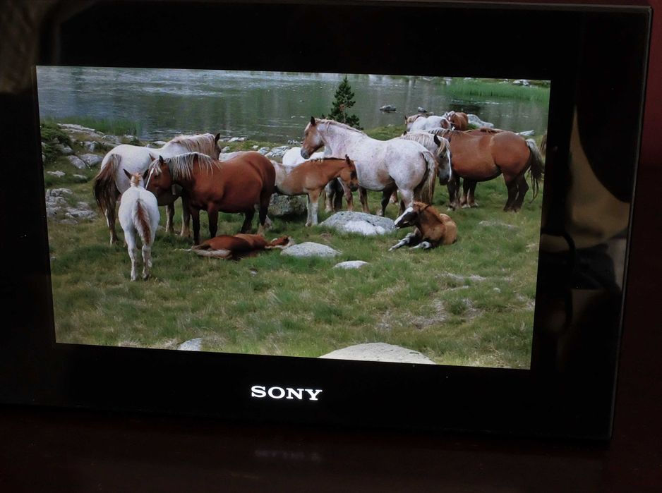 Moldura Digital Sony S-Frame DPF-D70 (7" | Como Nova + Comando)