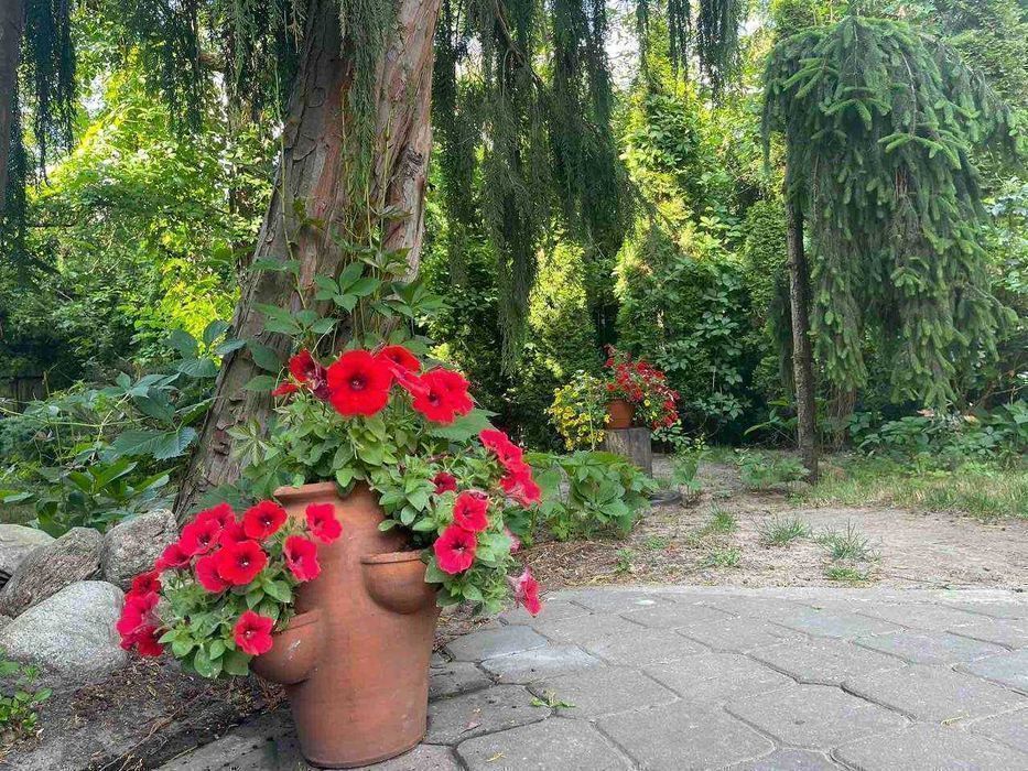 Новое Общежитие Варшава Заселись сегодня ! Говорим по-русски Hostel