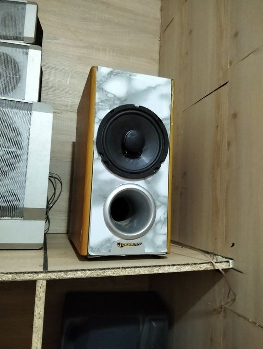 Сабвуфер 50 ват 8 ом + широкополосний динамік