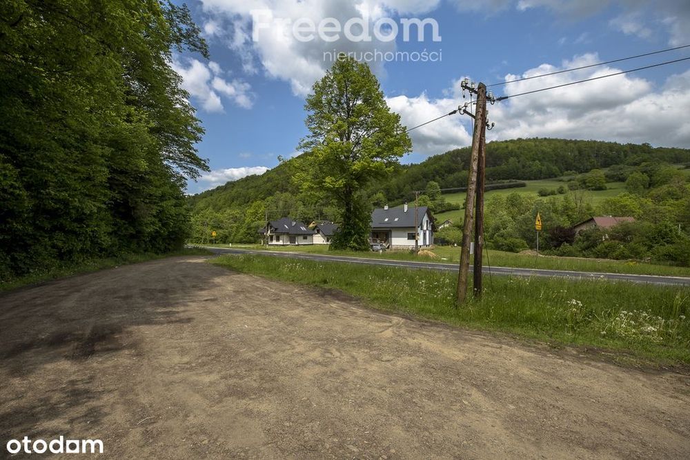 Działka na stoku, Mchawa, Bieszczady - Widok 6