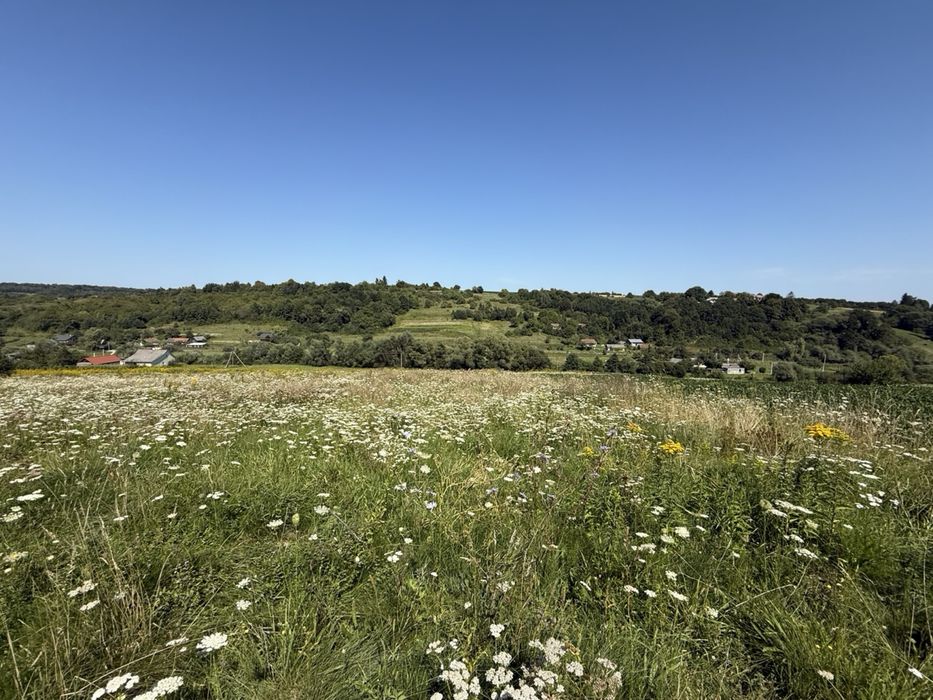 Продаж земельної ділянки в селі Поляна