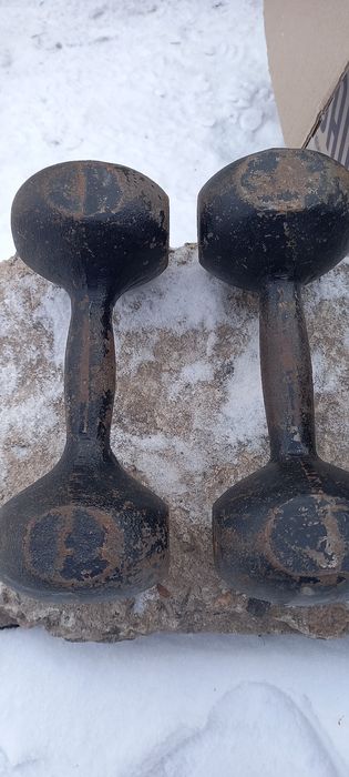 Гантелі металеві