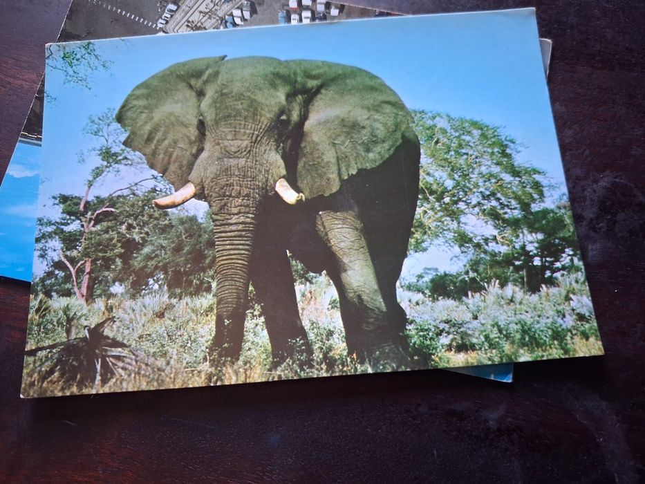 Lote postais Moçambique anos 70