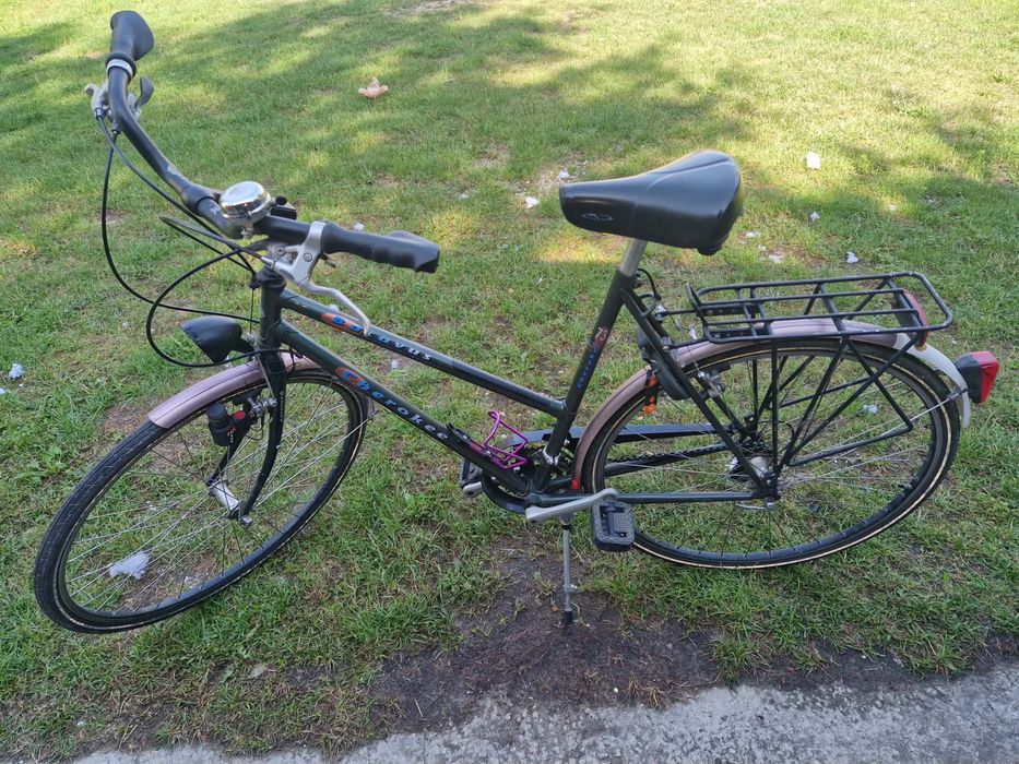 Rower Batavus Cherokee