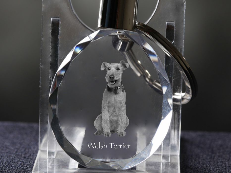 Terier walijski brelok do kluczy owalny z koniem Art-Dog
