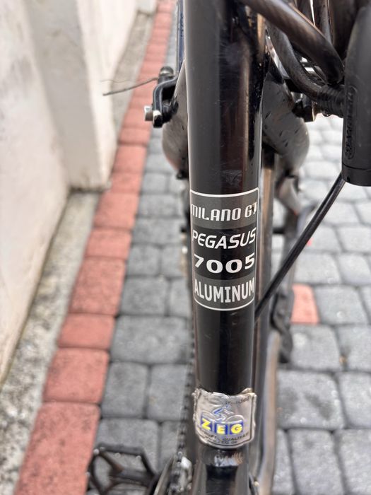 Pegasus milano gt
