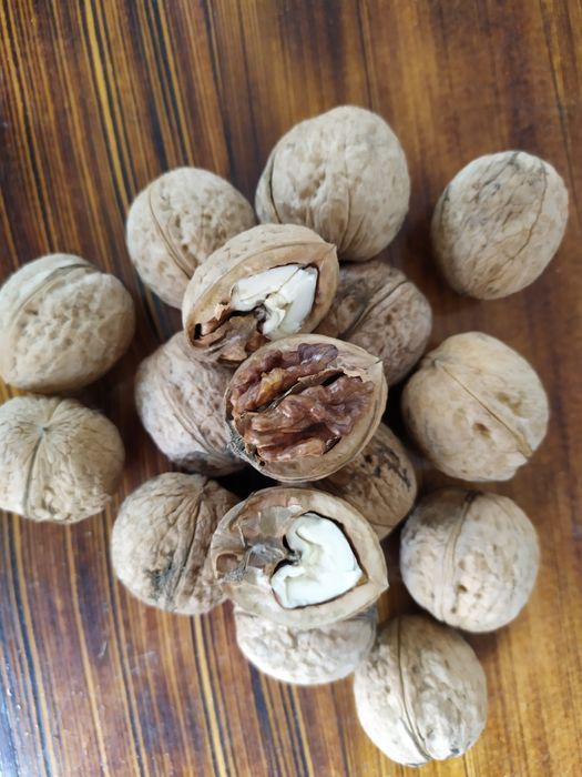 Грецкий орех домашний