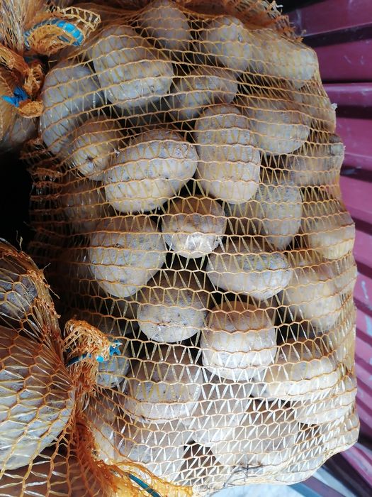 Ziemniaki worek 15 kilo wysyłka inpost prosto od rolnika