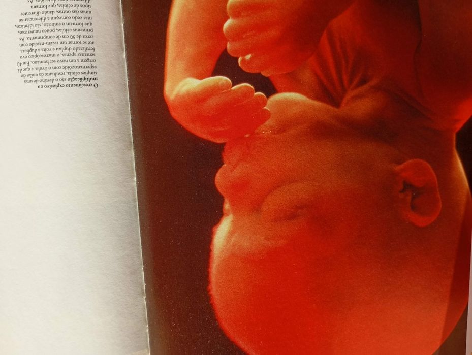 Enciclopédia do corpo humano