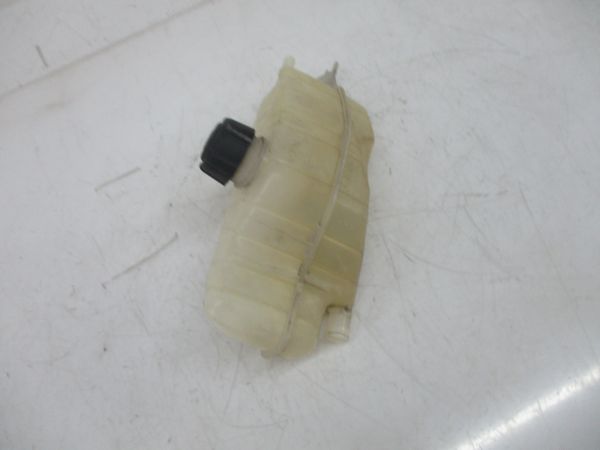 Vaso Expansao / Radiador RENAULT Clio III (BR0/1, CR0/1)