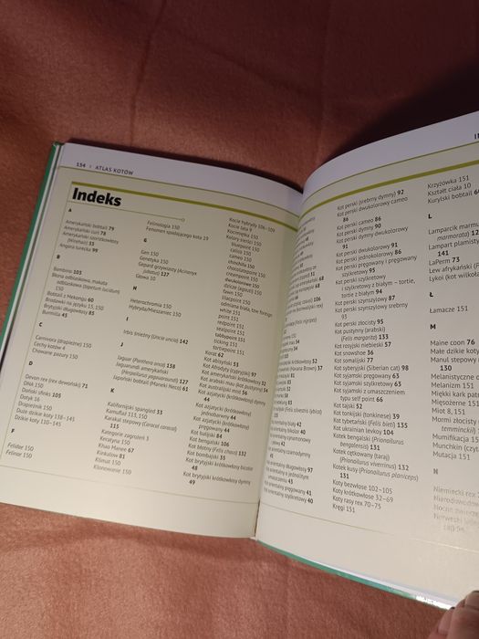 Książka o kotach