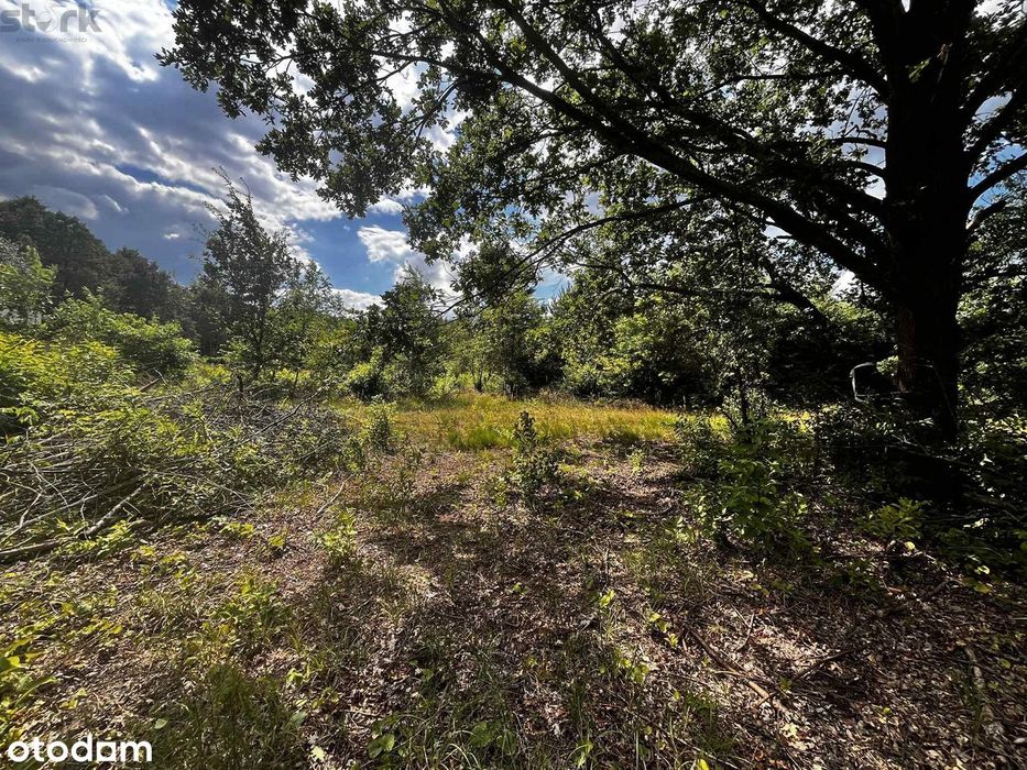 Działka  800 m2 Henryszew z MPZP  150 zł 1 m2