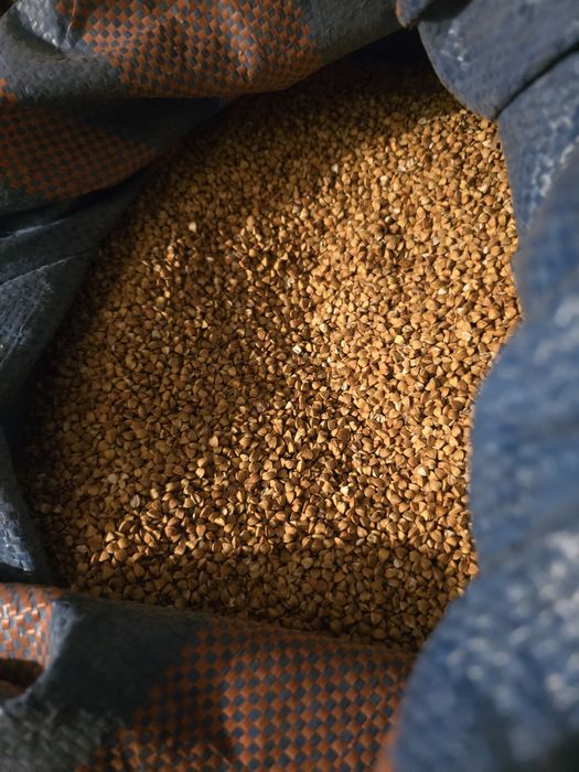 Kasza Gryczana Palona, Gospodarstwo z własnej gryki. Pestki dyni mąka