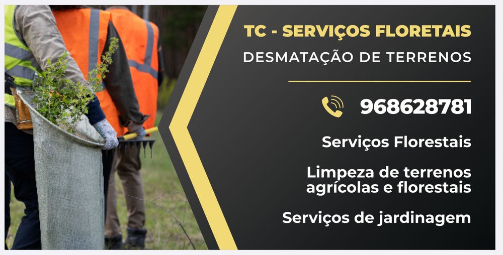 Limpeza Profissional de Terrenos