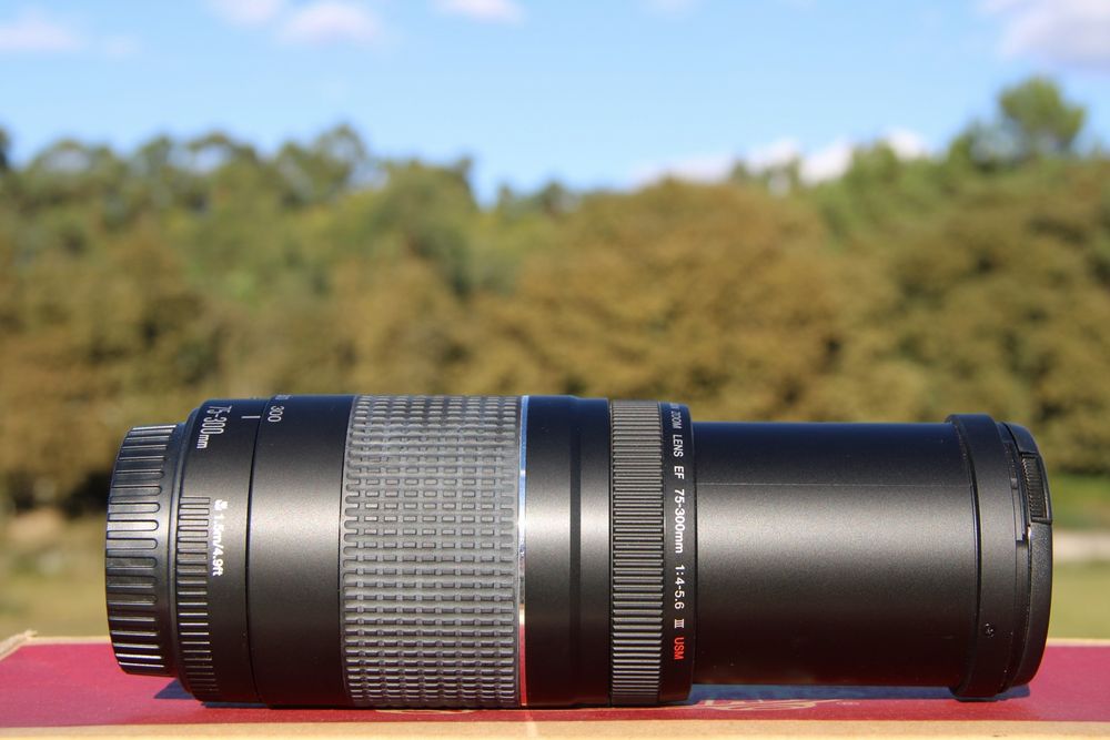 Canon EF 75-300mm F/4-5.6 III USM