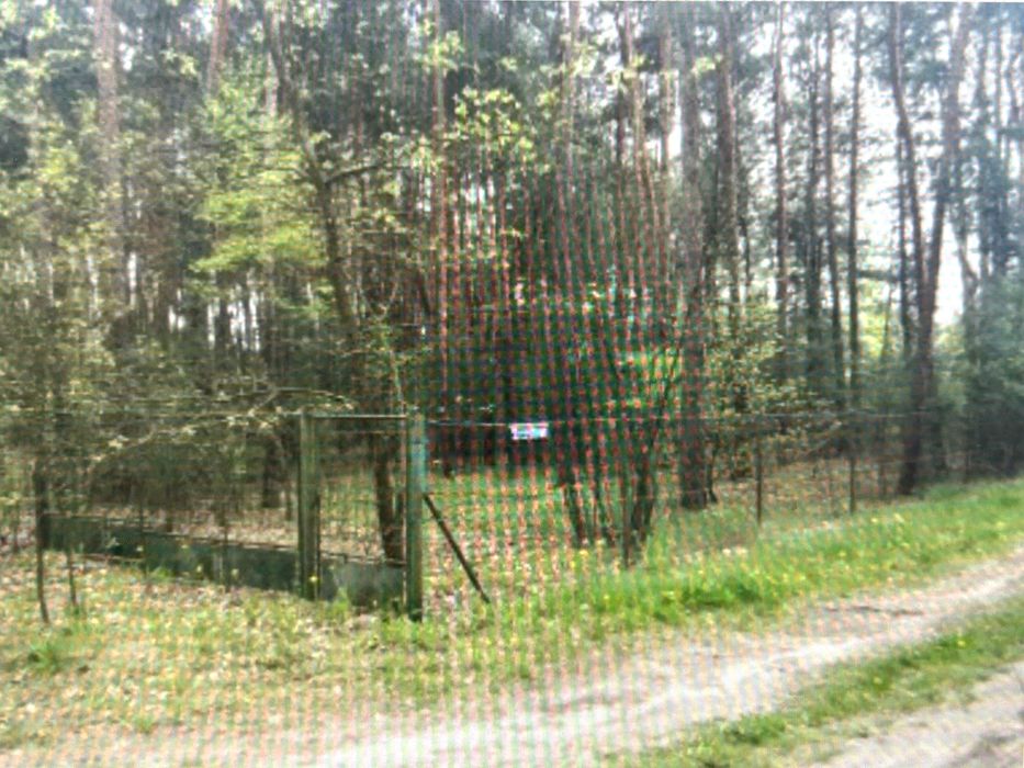 Wielka działka nad PIASECZNEM (Rozpłucie Pierwsze). - Widok 4