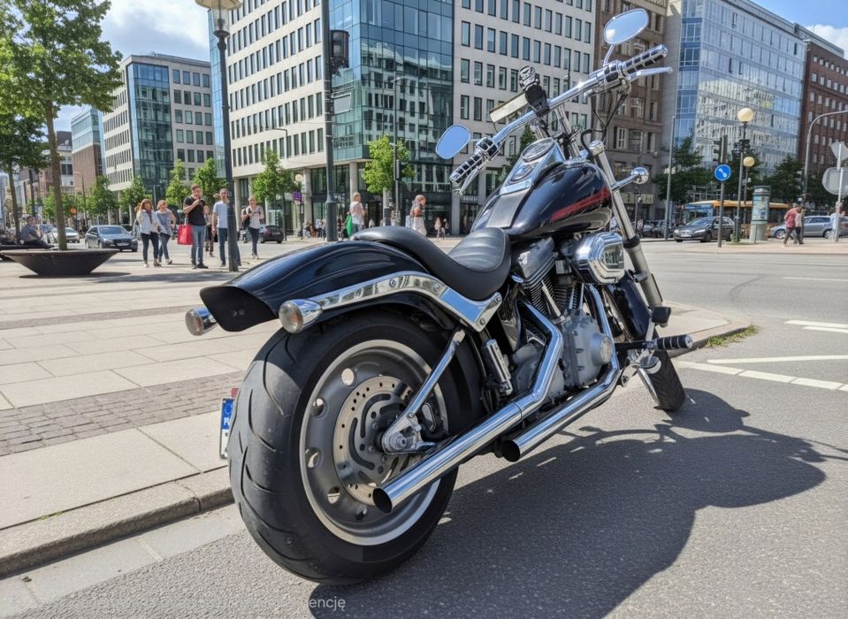 Harley Davidson softail 2006