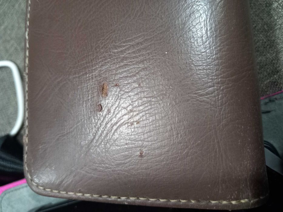 Carteira Minnie Mouse - portes incluídos