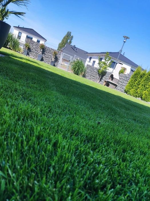 Trawa Z Rolki Premium