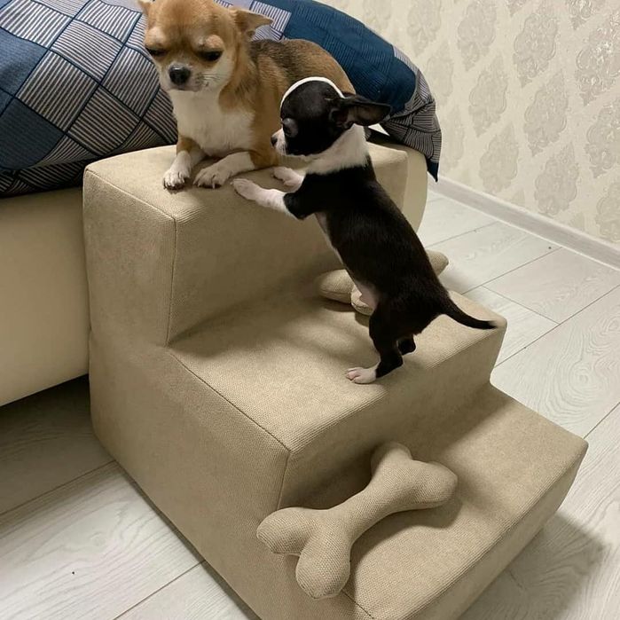 Пудровая лесенка для собак