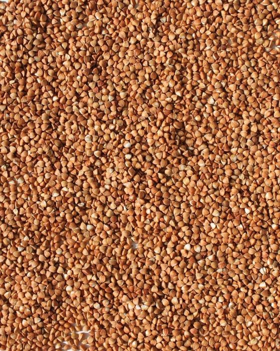 Продам гречку в мішках по 50 кг