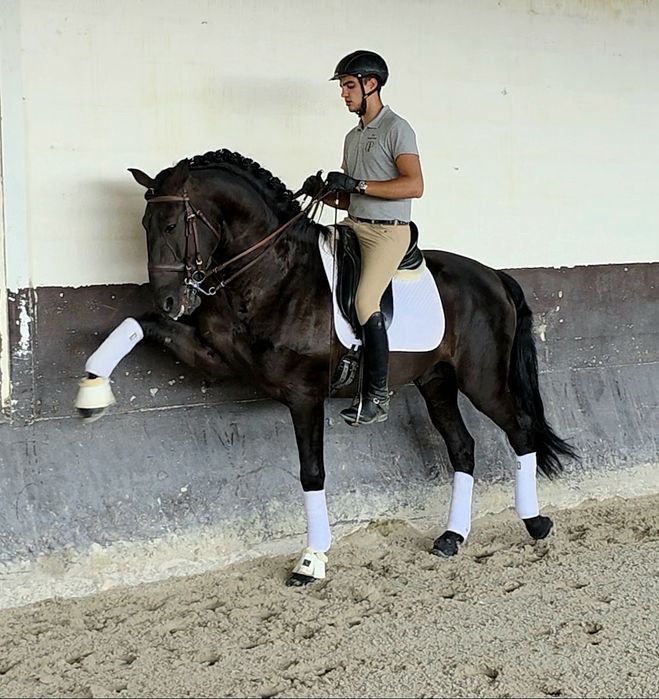 COBRIÇÕES disponíveis PSL 70 pts