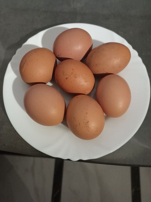 Яйця домашні курячі