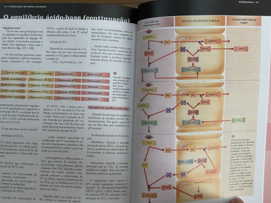 Coleção manual do estudante e Coleção Colliers Junior classics ingles