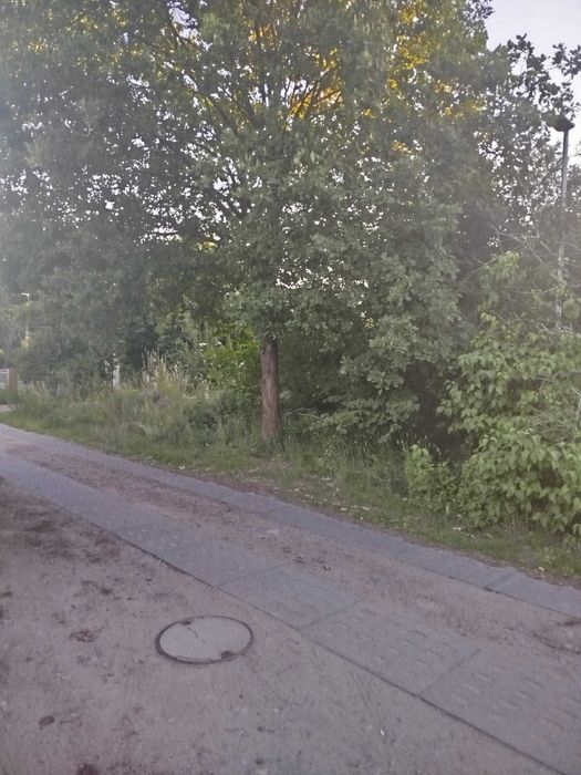 Działka na sprzedaż - Trzcianka - Widok 6