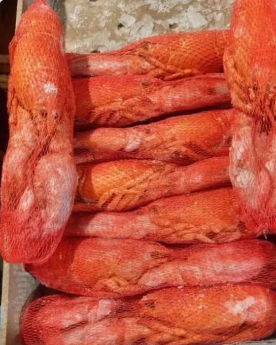 Продам  лобстеров.