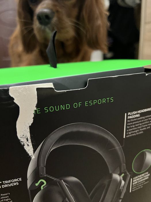 Razer Blackshark v2 X