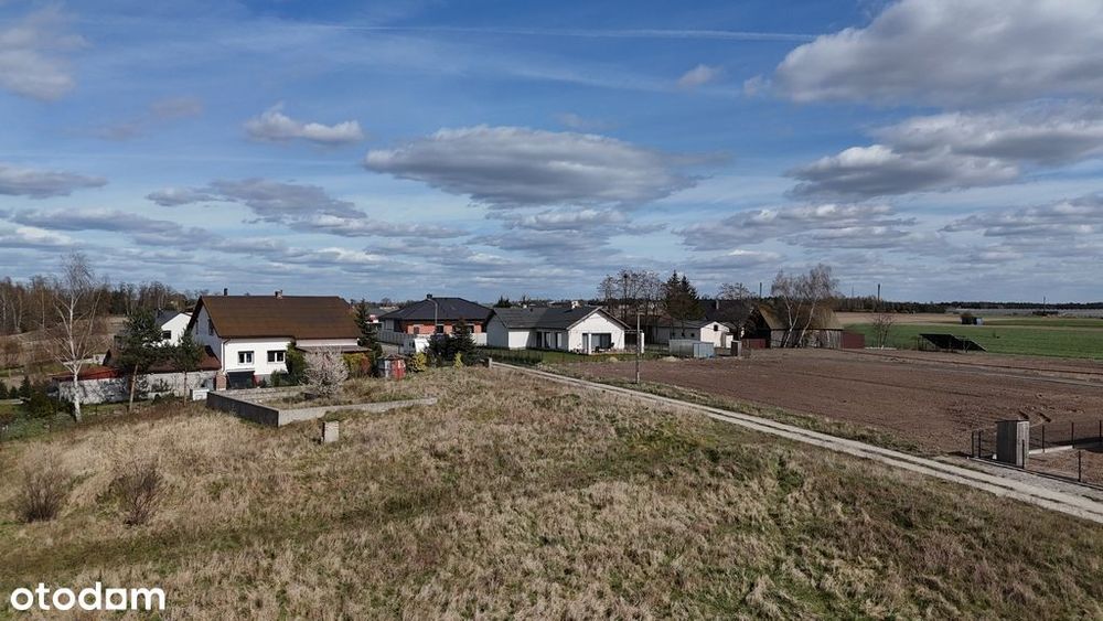 Zdjęcie 5
