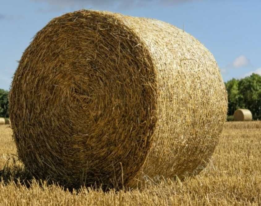 Słoma w balotch, baloty słomy.