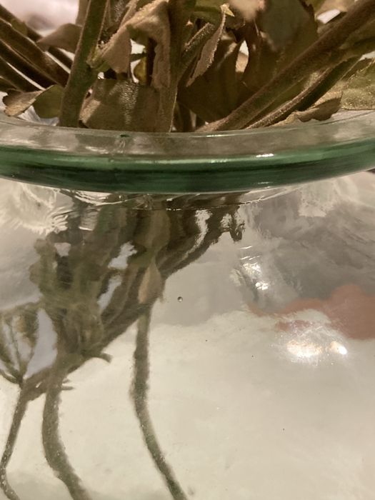 Recycled Glass Pitcher427808955596154882