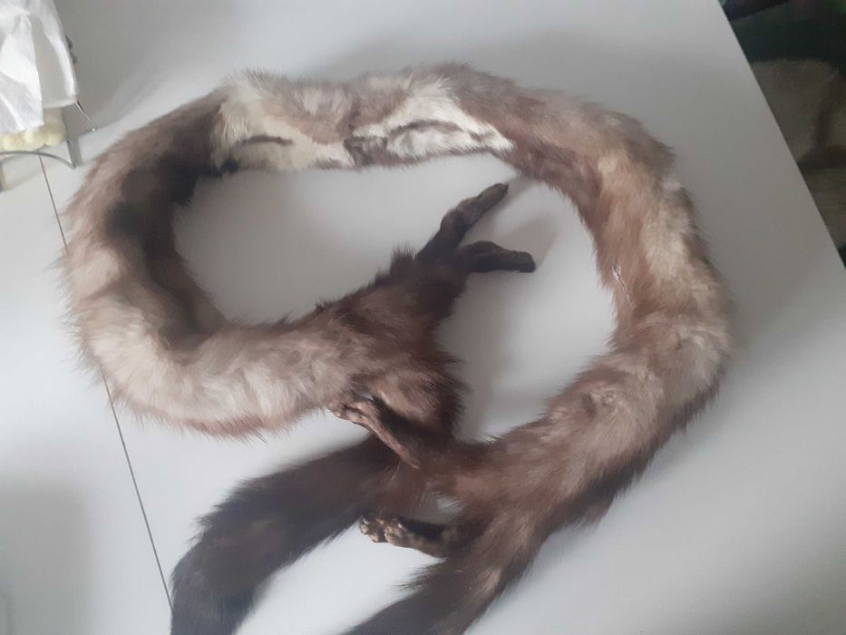 Piekny szal z lisa z nogami.