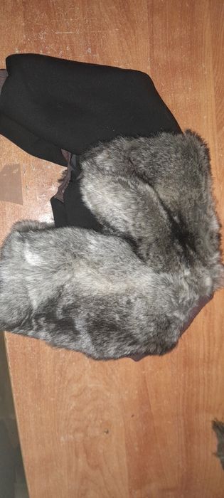 Новий одяг для собак