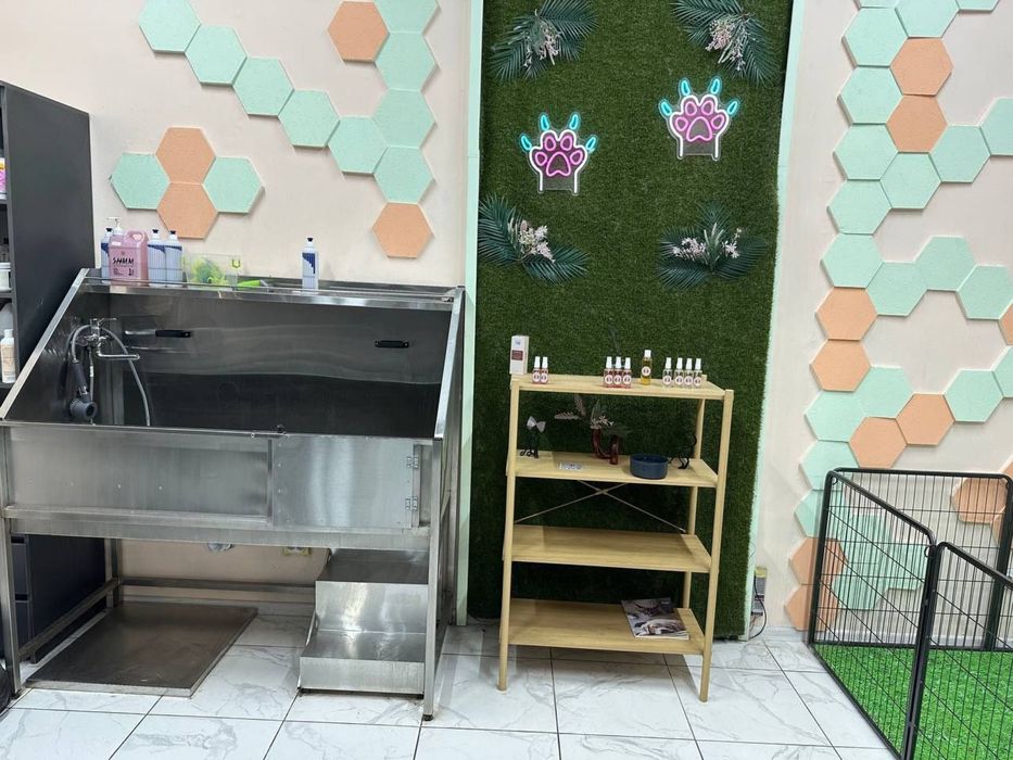 Продам готовый бизнес Груминг Дафи Звездний 1а