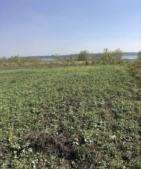 Продам земельну ділянку 17,33 сотки біля водойми в с.Шибин. Можлива зміна під забудову та обмін.