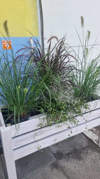 donica/skrzynia/kwietnik ogrodowy