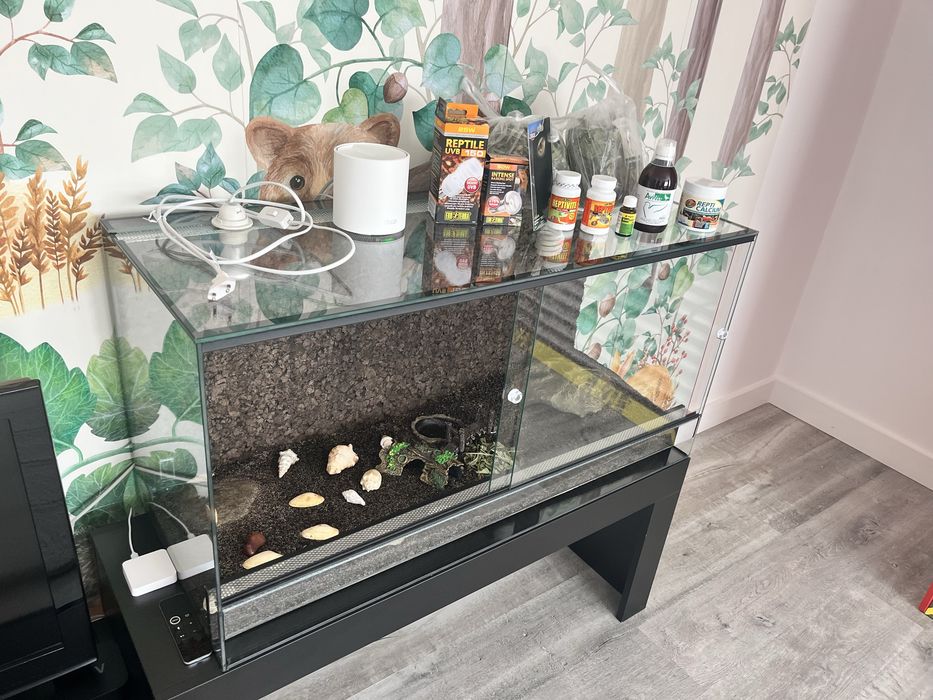 Terrarium - cały komplet